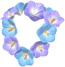 Hibiscus Garland