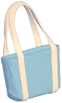 Eco-Friendly Shopping Bag