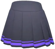 Bordered Pleated Skirt