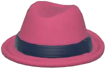Color-Blocked Fedora