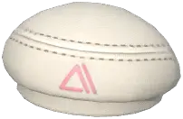 Simplistic Beret