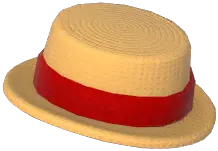 Beach Boater