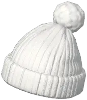 Pom-Pom Woolen Hat