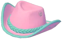 Color-Blocked Cowboy Hat