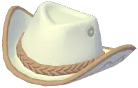 Color-Blocked Cowboy Hat