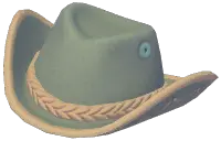 Color-Blocked Cowboy Hat