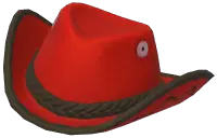 Color-Blocked Cowboy Hat