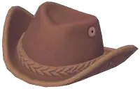 Color-Blocked Cowboy Hat