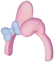 My Melody Headband
