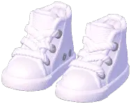 Canvas Shoes