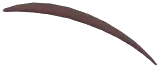 Thin Droopy Eyebrows