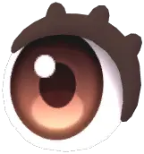 Lash Eyes