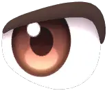 Sanpaku Eyes