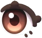 Eyelash & Almond Eyes