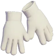 Work Gloves