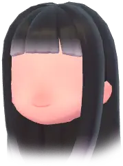 Blunt-Banged Long Straight Hair