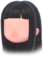 Blunt-Banged Long Straight Hair