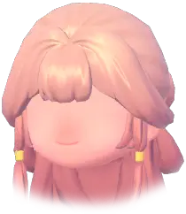 Long Hair w/ Two Buns