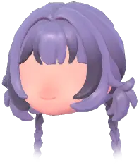 Wolf-Cut Half-Braided Buns