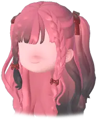 Bizarre Braided Twin Tails