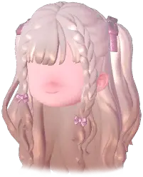 Bizarre Braided Twin Tails
