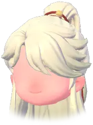 Half-Up Ponytail