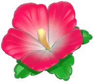 Hibiscus Headwear