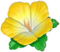 Hibiscus Headwear