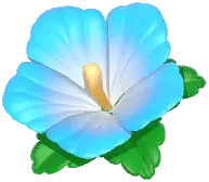 Hibiscus Headwear