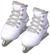 Ice Skates