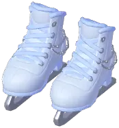 Ice Skates