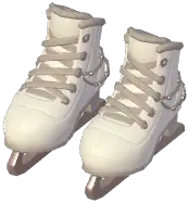 Ice Skates