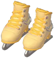 Ice Skates
