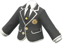 Academic Suit
