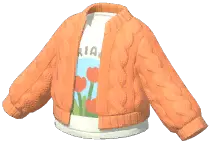 Two-Piece Sweater