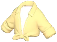High-Waist Tie Shirt