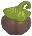 Brown Grimkin Pumpkin