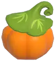 Orange Grimkin Pumpkin