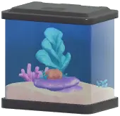 Medium Coral Fish Tank