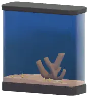 Large Fish Tank