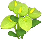Green Laceleaf