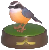 Eurasian Nuthatch