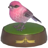 Pine Grosbeak