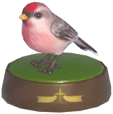 Redpoll