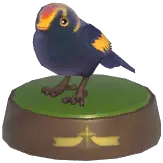 Regent Bowerbird