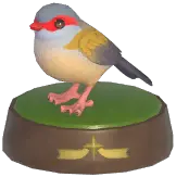 Red-Browed Finch