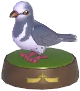 Wonga Pigeon