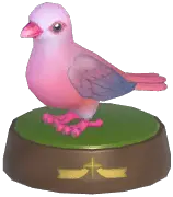 Pink Pigeon