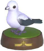 Pied Imperial Pigeon