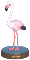 Greater Flamingo